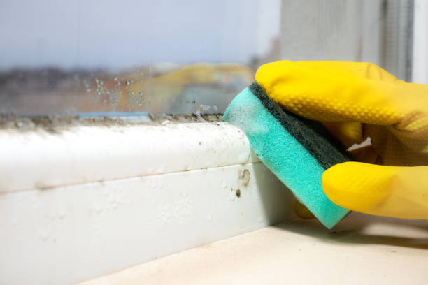 Water Damage Restoration in East Falmouth, MA