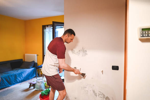 Best Local Mold Removal Service  in East Falmouth, MA